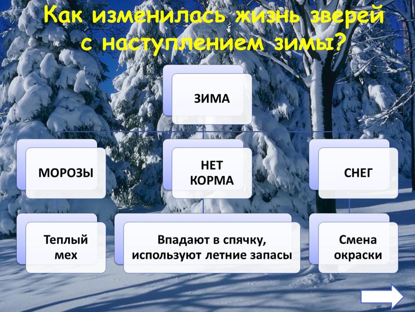 Как изменилась жизнь зверей с наступлением зимы?