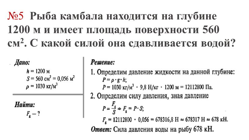 Рыба камбала находится на глубине 1200 м и имеет площадь поверхности 560 см2