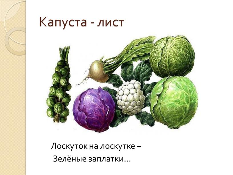 Капуста - лист Лоскуток на лоскутке –