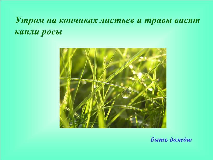 Утром на кончиках листьев и травы висят капли росы быть дождю