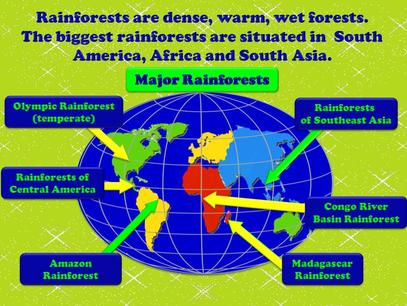 Rainforests are dense, warm, wet forests