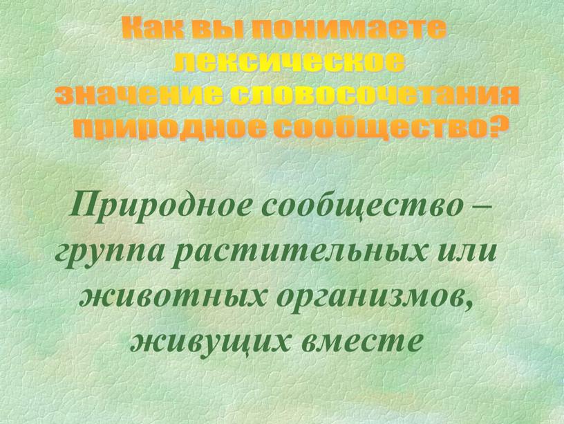 Природное сообщество – группа растительных или животных организмов, живущих вместе