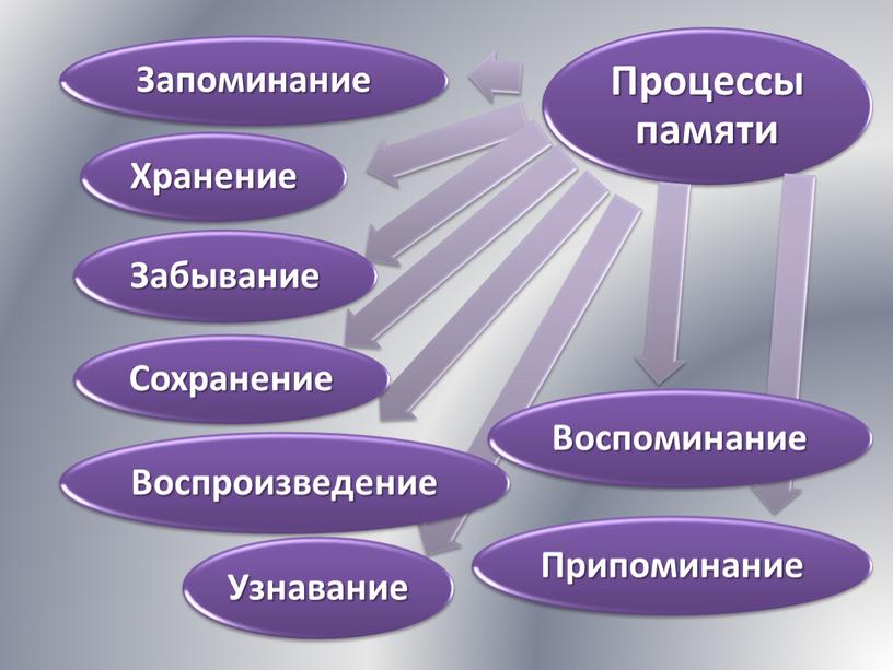 Память как познавательный процесс