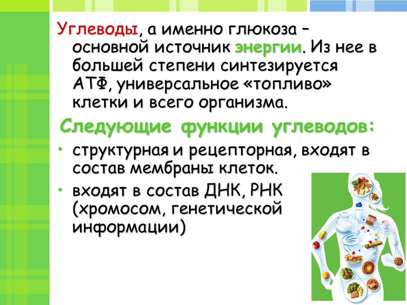 Углеводы, а именно глюкоза – основной источник энергии