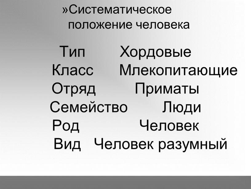 Тип Хордовые Класс