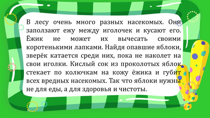 В лесу очень много разных насекомых