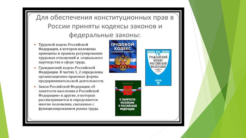 Гарантия и защита прав и свобод человека и гражданина в Российской Федерации.