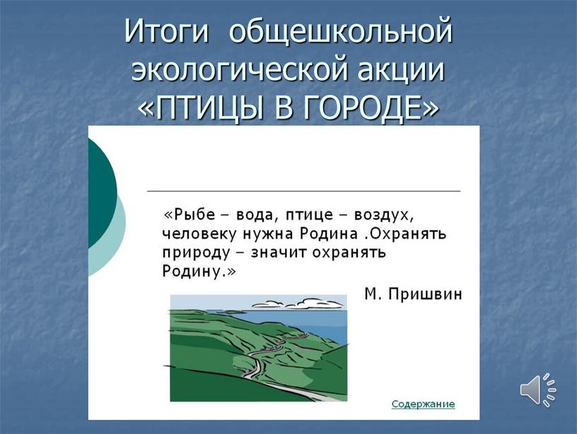 Итоги общешкольной экологической акции «ПТИЦЫ