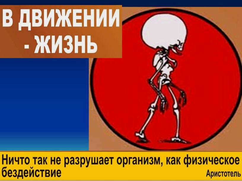 Урок 21 Значение двигательной активности