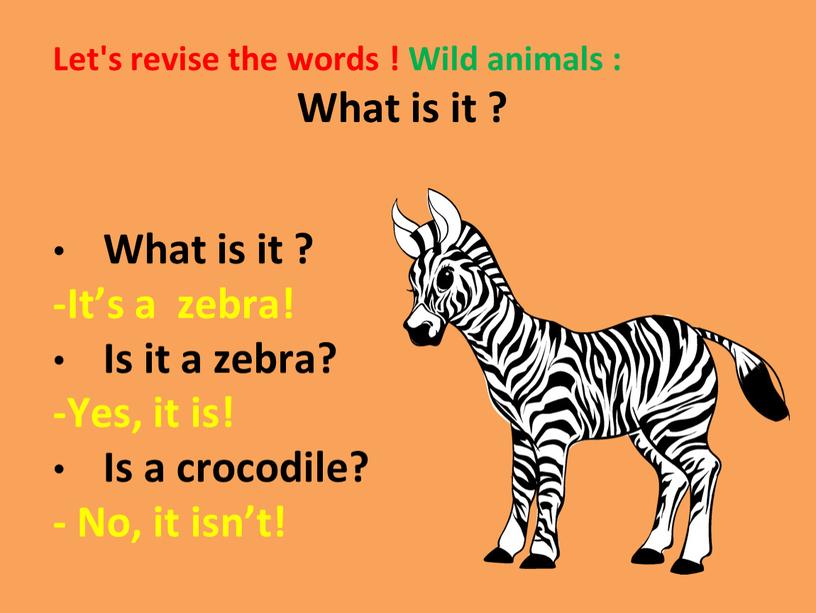 Let's revise the words ! Wild animals :