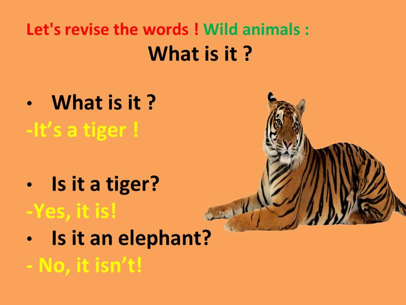 Let's revise the words ! Wild animals :