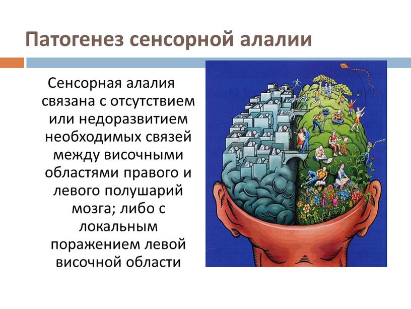 Патогенез сенсорной алалии Сенсорная алалия связана с отсутствием или недоразвитием необходимых связей между височными областями правого и левого полушарий мозга; либо с локальным поражением левой…