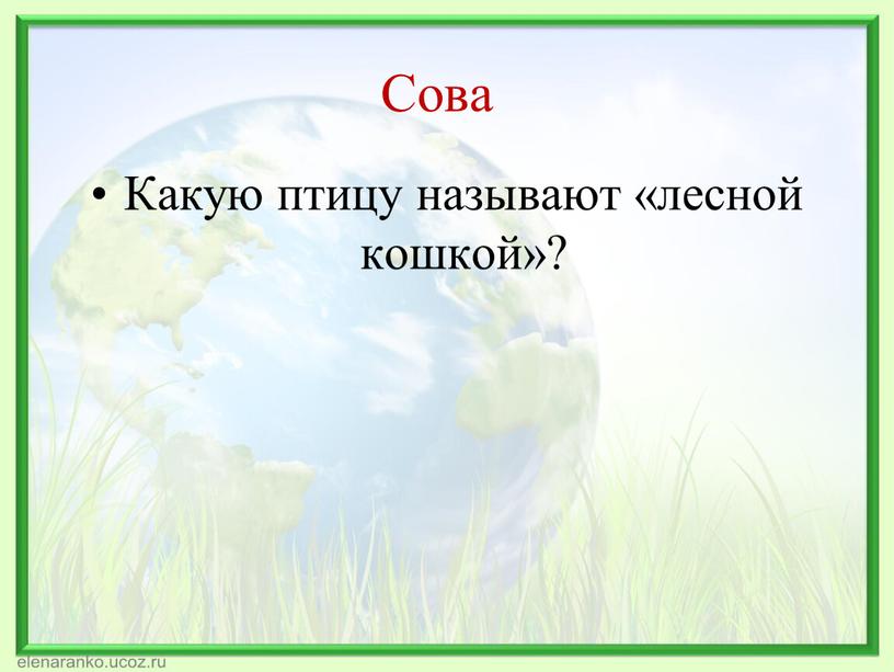 Сова Какую птицу называют «лесной кошкой»?