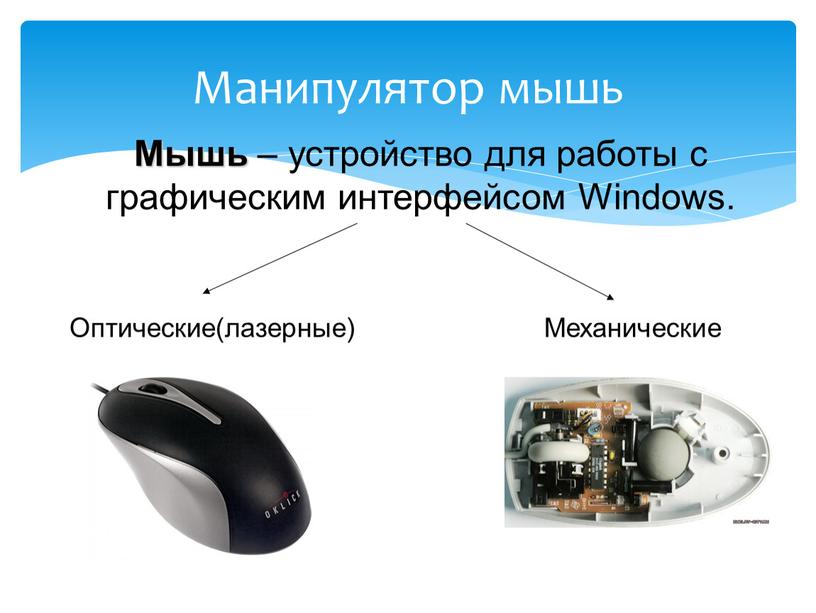 Манипулятор мышь Мышь – устройство для работы с графическим интерфейсом