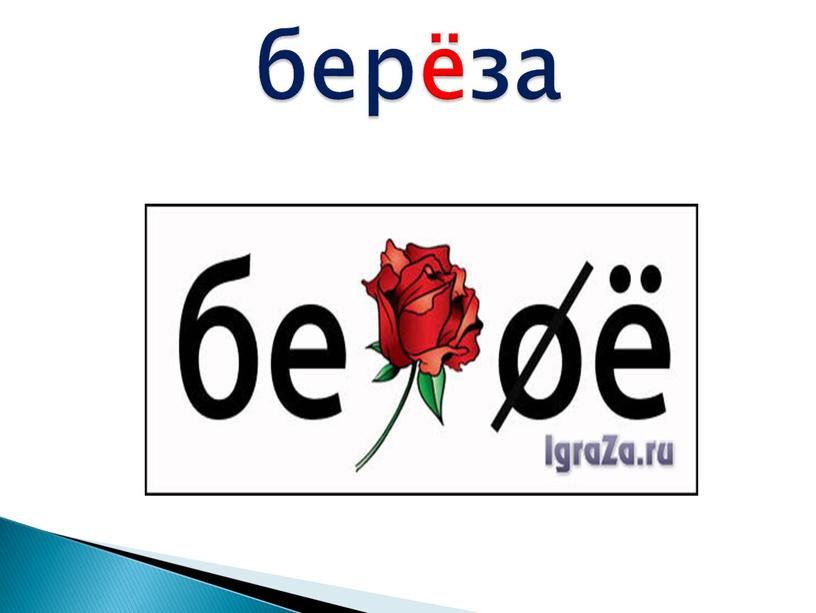 берёза