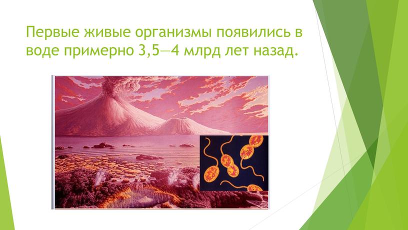 Первые живые организмы появились в воде примерно 3,5—4 млрд лет назад