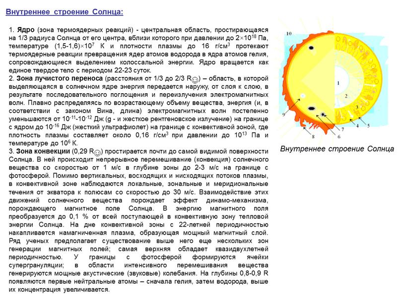 Внутреннее строение Солнца: 1