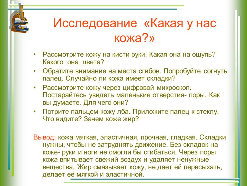 Исследование «Какая у нас кожа?»