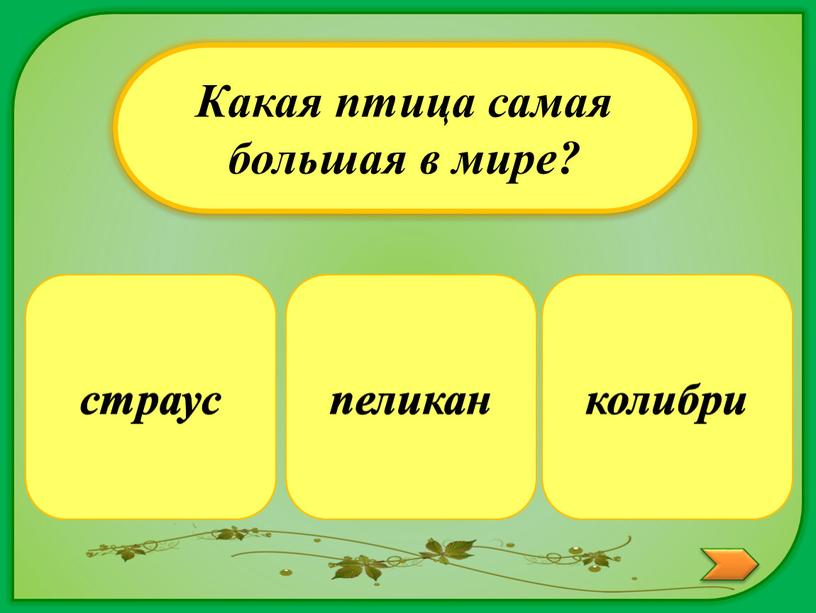 Какая птица самая большая в мире? колибри пеликан