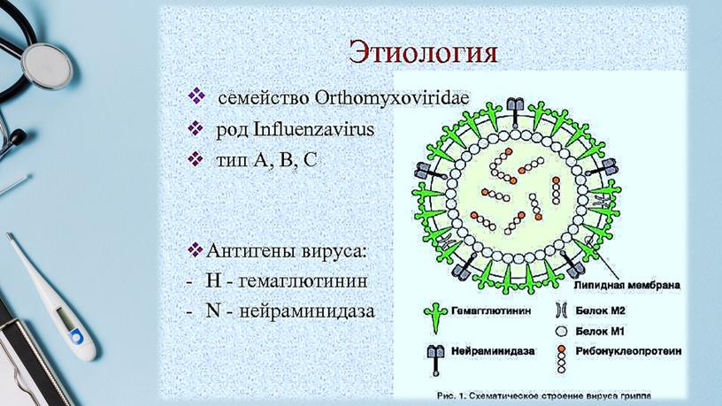 Лекция на тему Грипп птиц