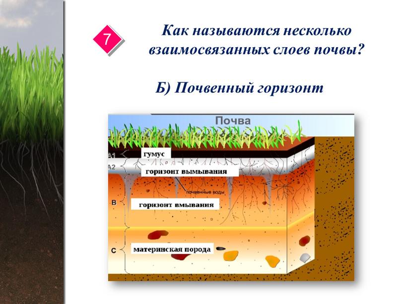 Как называются несколько взаимосвязанных слоев почвы? 7