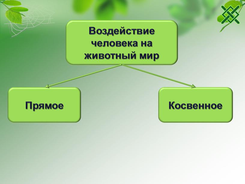 Воздействие человека на животный мир презентация