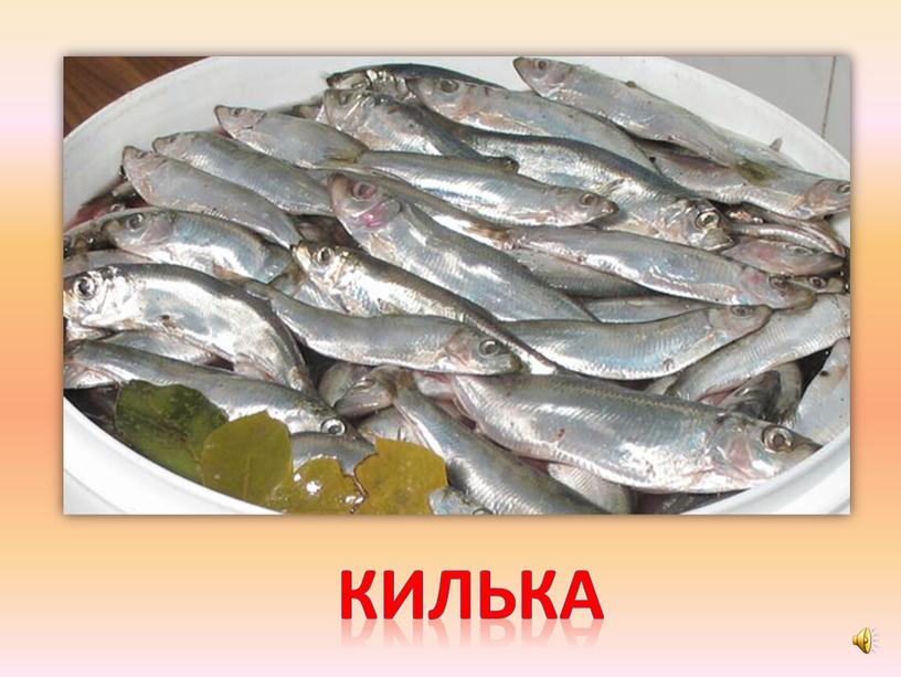 килька