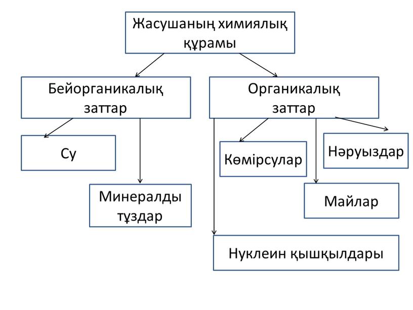 Жасушаның химиялық құрамы Бейорганикалық заттар