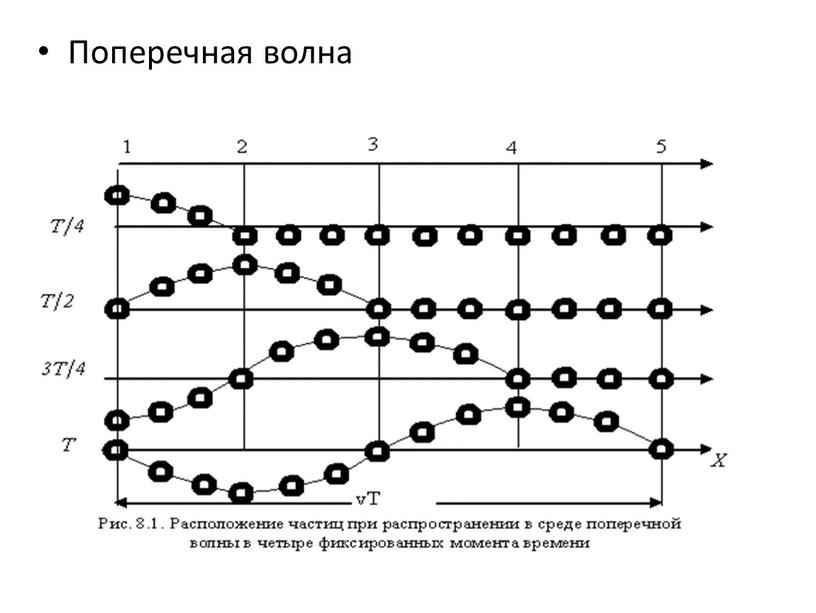 Поперечная волна