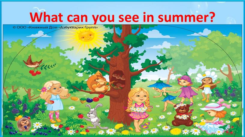 What can you see in summer?