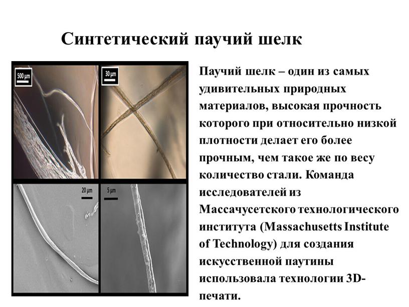 Синтетический паучий шелк Паучий шелк – один из самых удивительных природных материалов, высокая прочность которого при относительно низкой плотности делает его более прочным, чем такое…