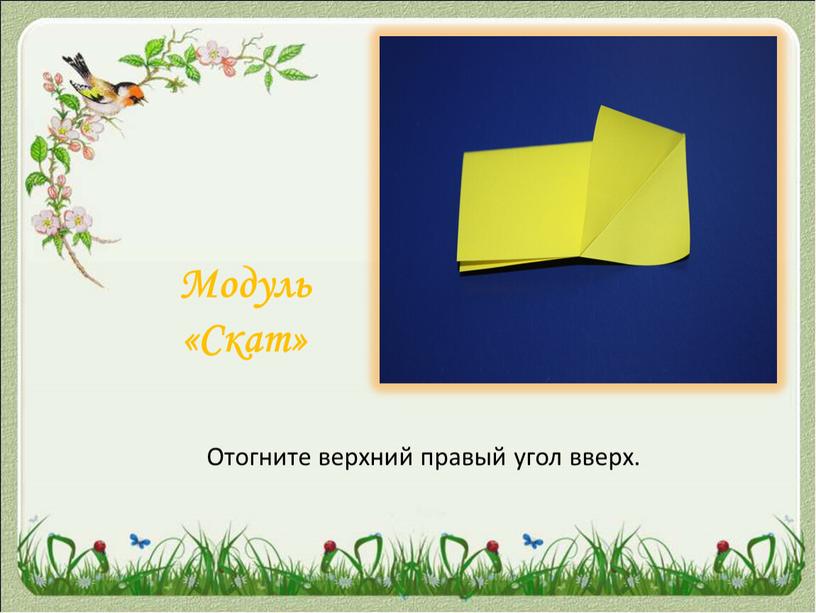 Модуль «Скат» Отогните верхний правый угол вверх