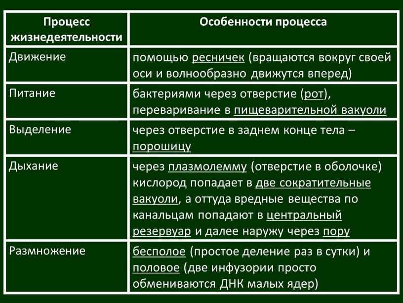 Процесс жизнедеятельности Особенности процесса