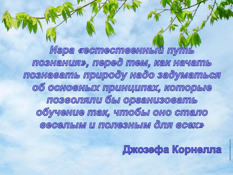 Игра «естественный путь познания», перед тем, как начать познавать природу надо задуматься об основных принципах, которые позволяли бы организовать обучение так, чтобы оно стало веселым…