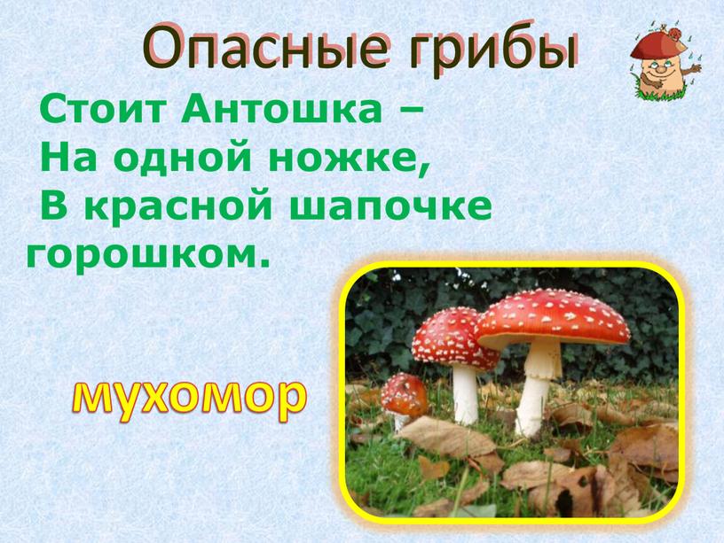 Опасные грибы Стоит Антошка –