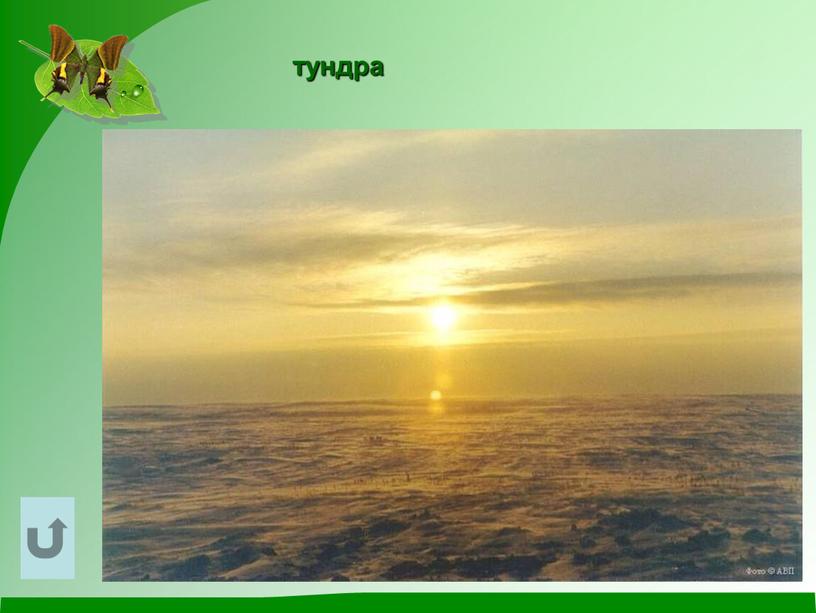 тундра