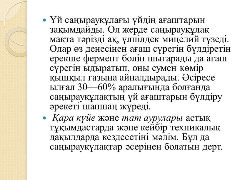 Ол жерде саңырауқұлақ мақта тәрізді ақ, үлпілдек мицелий түзеді