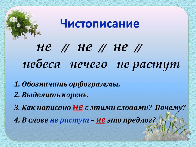 Чистописание не // не // не // небеса нечего не растут 1