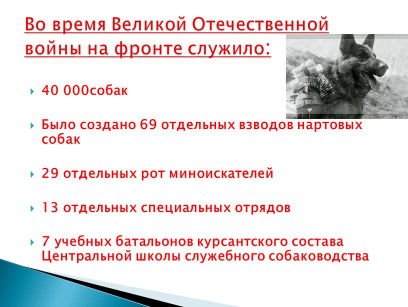 Было создано 69 отдельных взводов нартовых собак 29 отдельных рот миноискателей 13 отдельных специальных отрядов 7 учебных батальонов курсантского состава