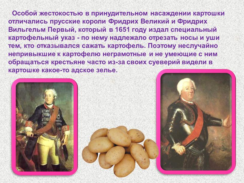 Особой жестокостью в принудительном насаждении картошки отличались прусские короли