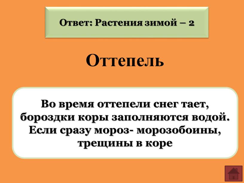 Ответ: Растения зимой – 2 Во время оттепели снег тает, бороздки коры заполняются водой