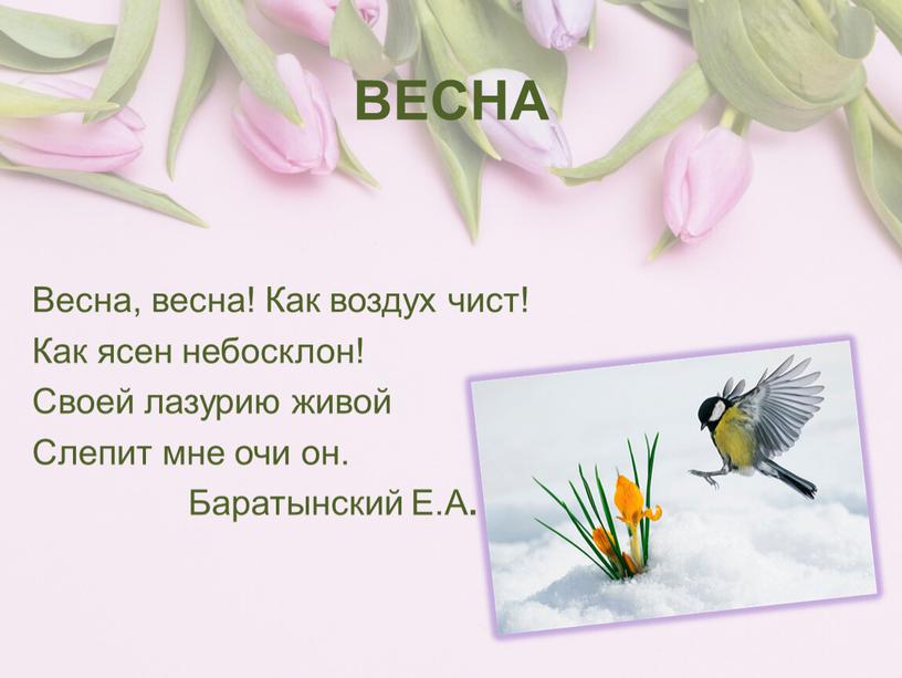 ВЕСНА Весна, весна! Как воздух чист!