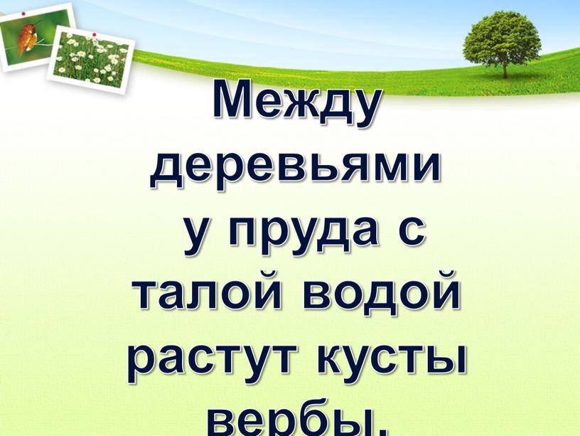 Между деревьями у пруда с талой водой растут кусты вербы