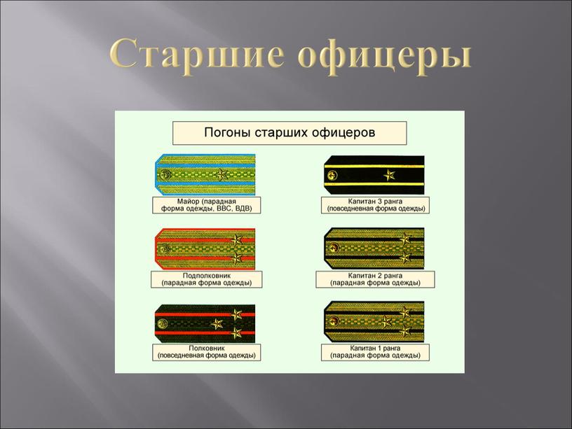 Старшие офицеры