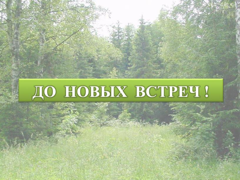 ДО НОВЫХ ВСТРЕЧ !