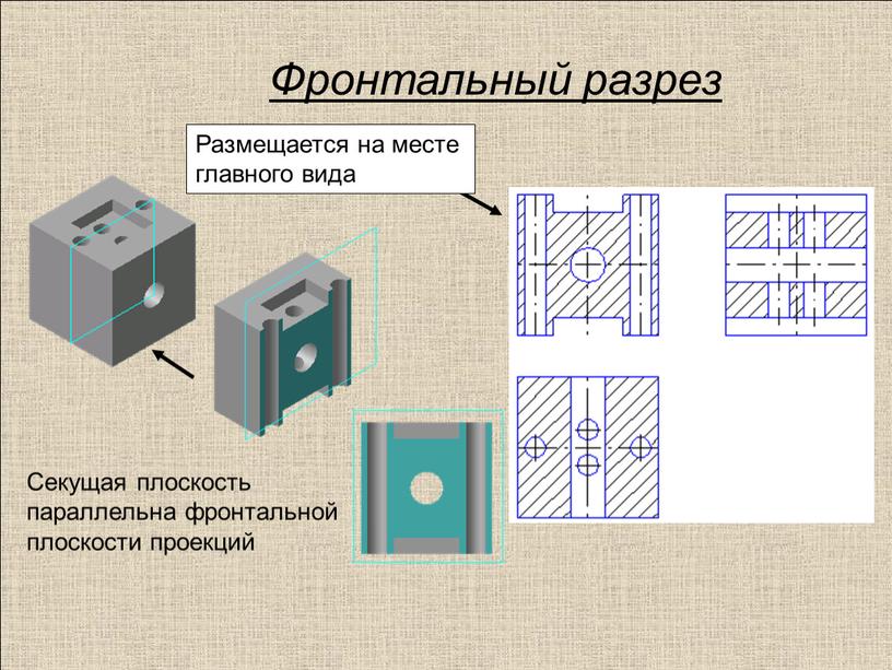 Фронтальный разрез Секущая плоскость параллельна фронтальной плоскости проекций