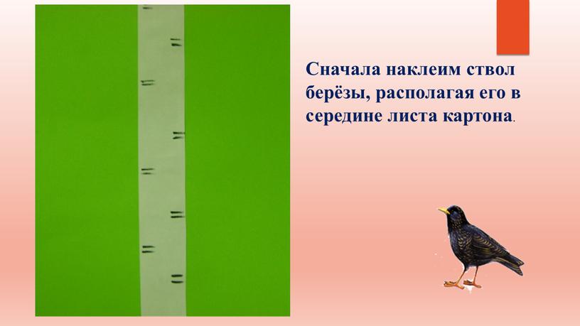 Сначала наклеим ствол берёзы, располагая его в середине листа картона