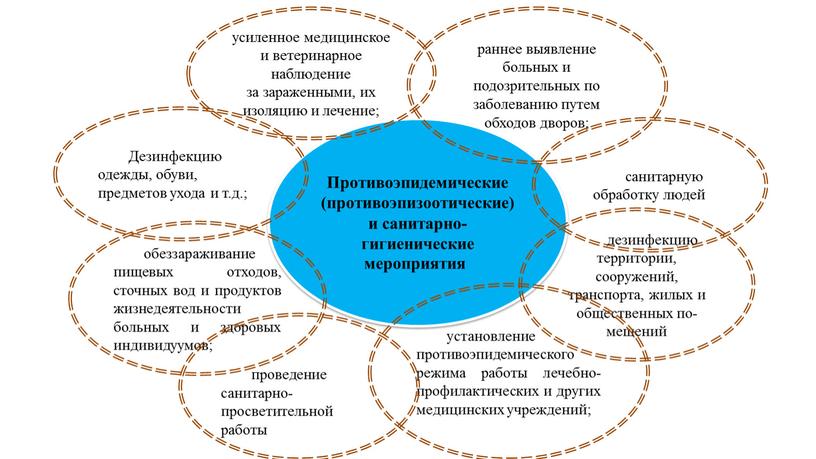 Противоэпидемические (противоэпизоотические) и санитарно-гигиенические мероприятия раннее выявление больных и подозрительных по заболеванию путем обходов дворов; усиленное медицинское и ветеринарное наблюдение за зараженны­ми, их изоляцию и…