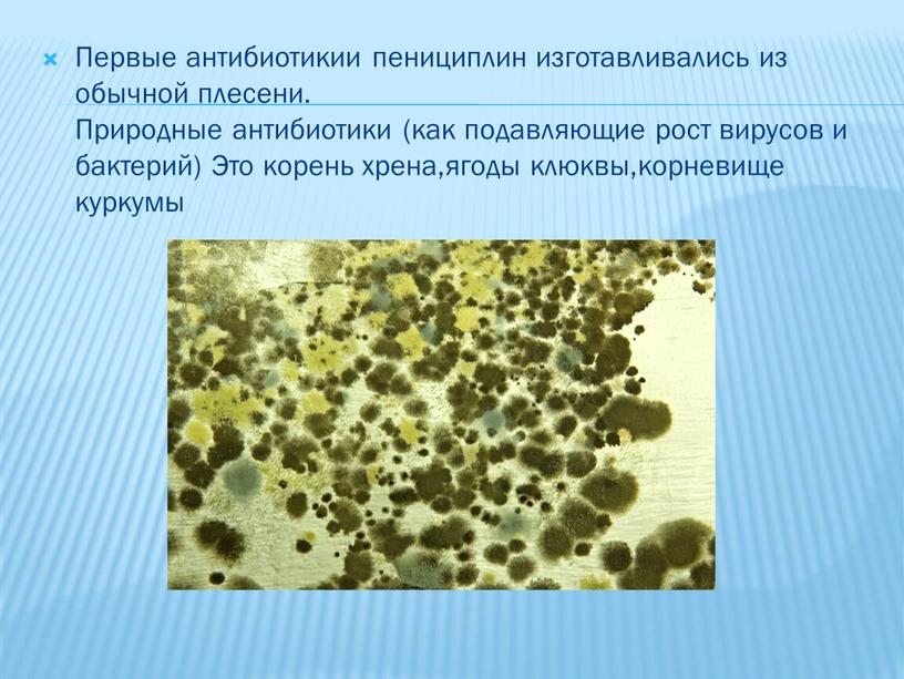 Первые антибиотикии пенициплин изготавливались из обычной плесени