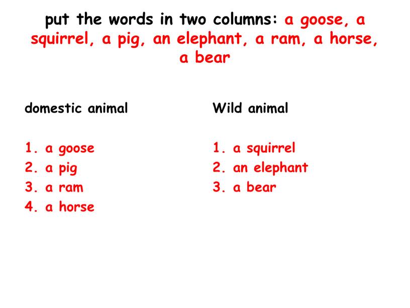 Wild animal a squirrel an elephant a bear